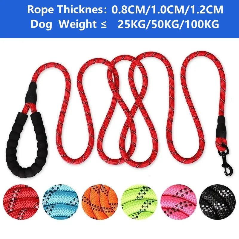 Reinforced Leash