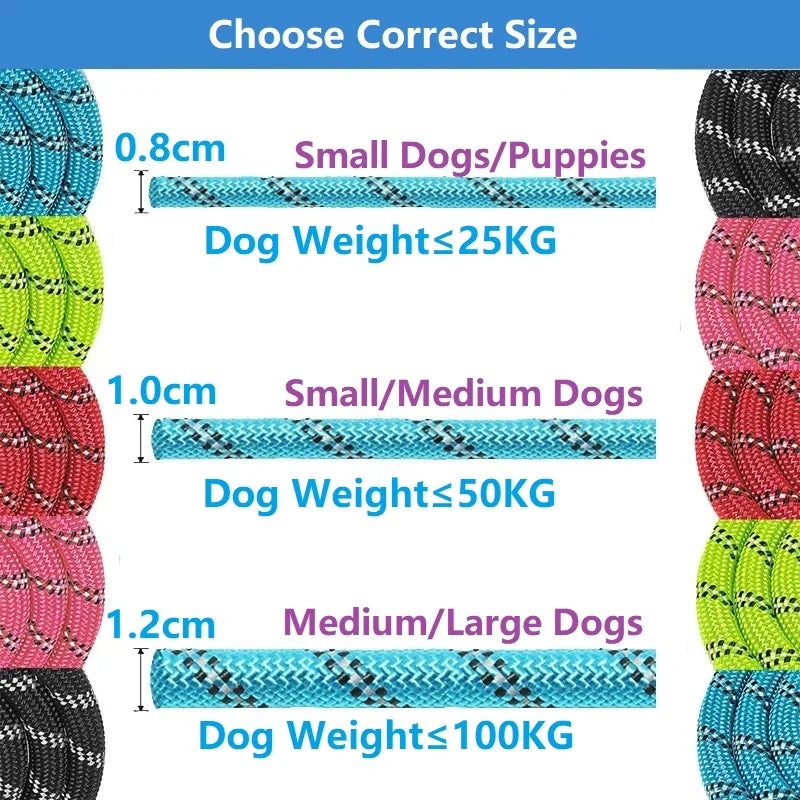 Reinforced Leash