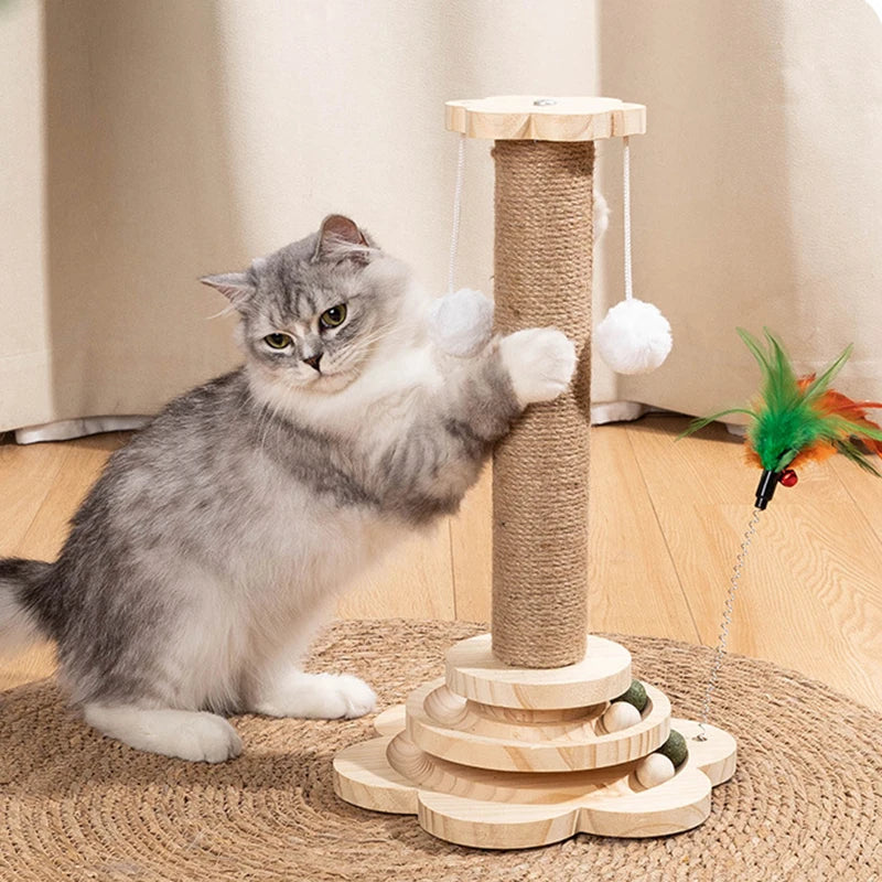 Pet Cat Toy/Scratching Board