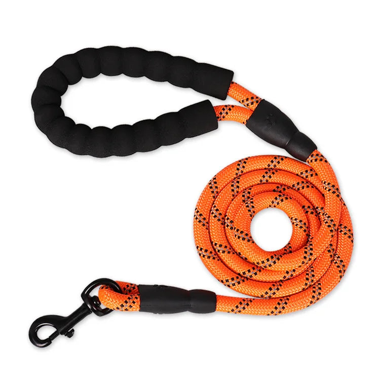 Reinforced Leash