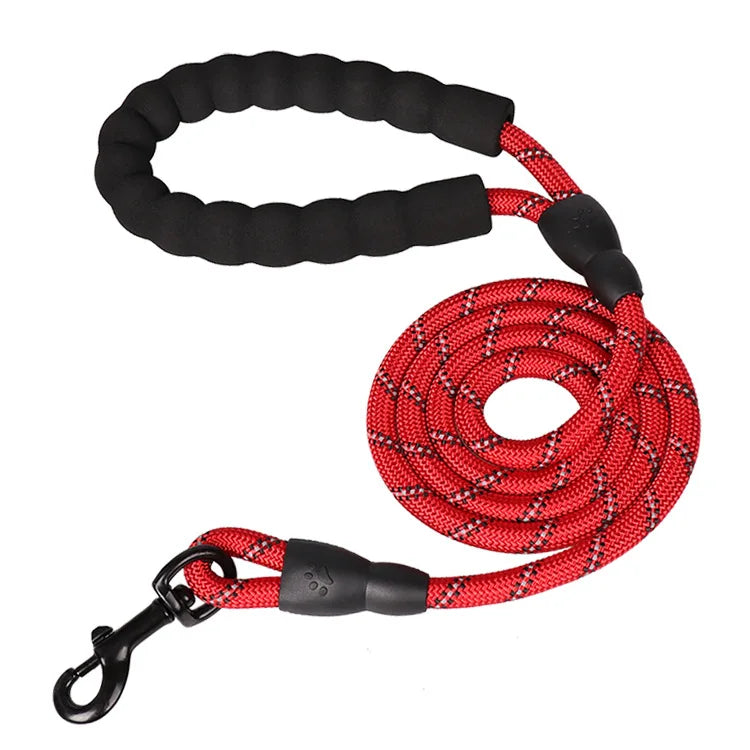 Reinforced Leash