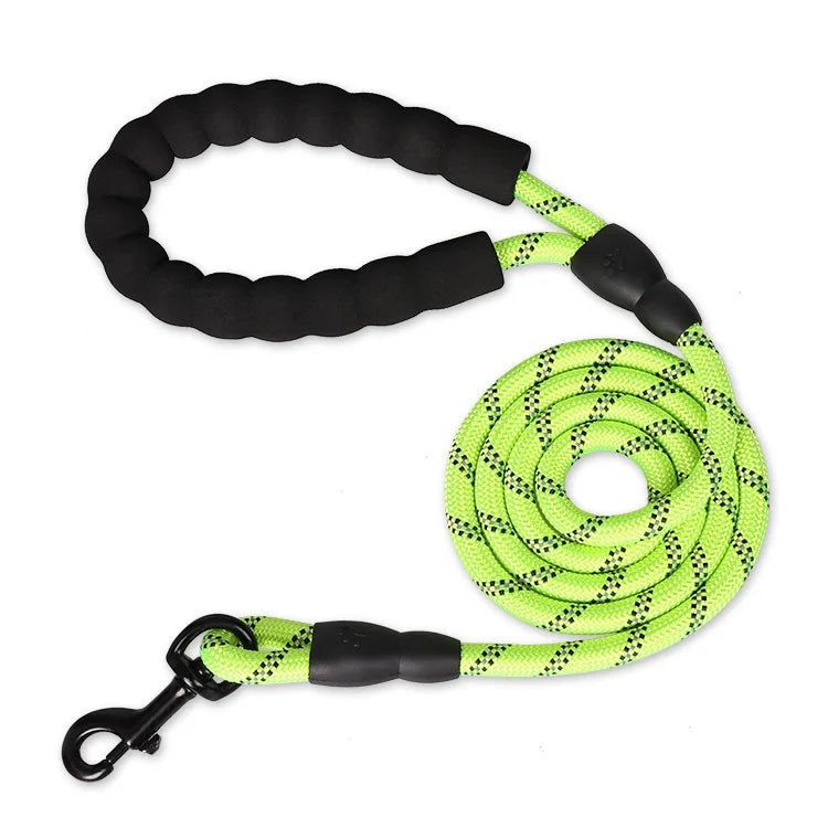 Reinforced Leash
